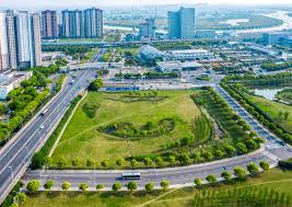 孝感城市绿化树木图片