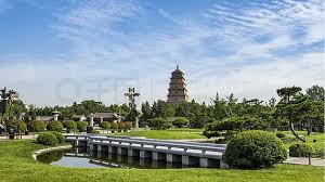 北辰绿化与市容